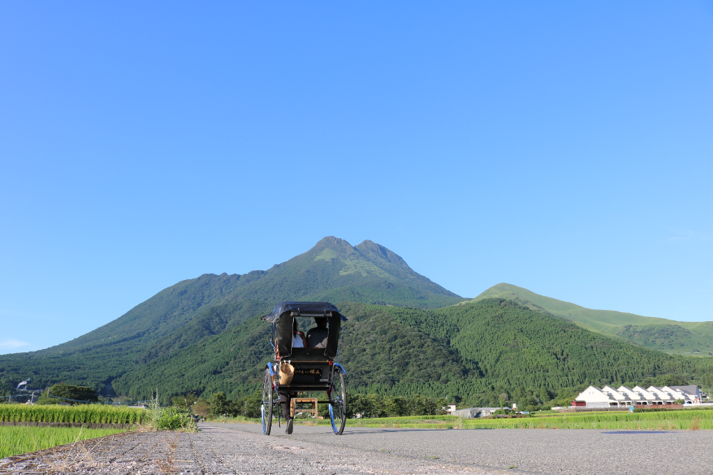 https://wtn1jl.media.saiyo-job.jp/contents/data/386da1ff-f298-48a5-8c3a-9a4f2dc18f75